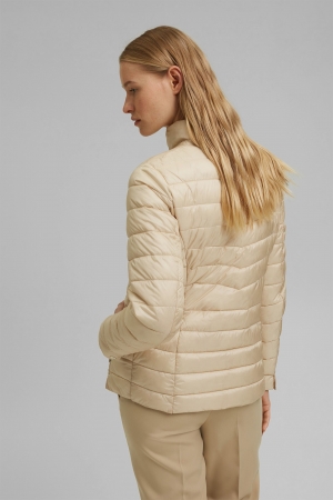 ESPRIT JACK 011EO1G305